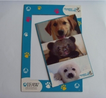 fridge magnet and writting board 