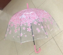 umbrella and raincoat