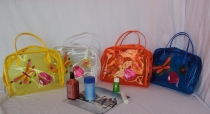 clear cosmetic bag