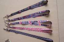 lanyard