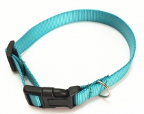 lanyard