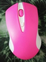 mouse