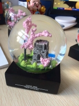 furnish and decoration