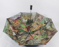 umbrella and raincoat